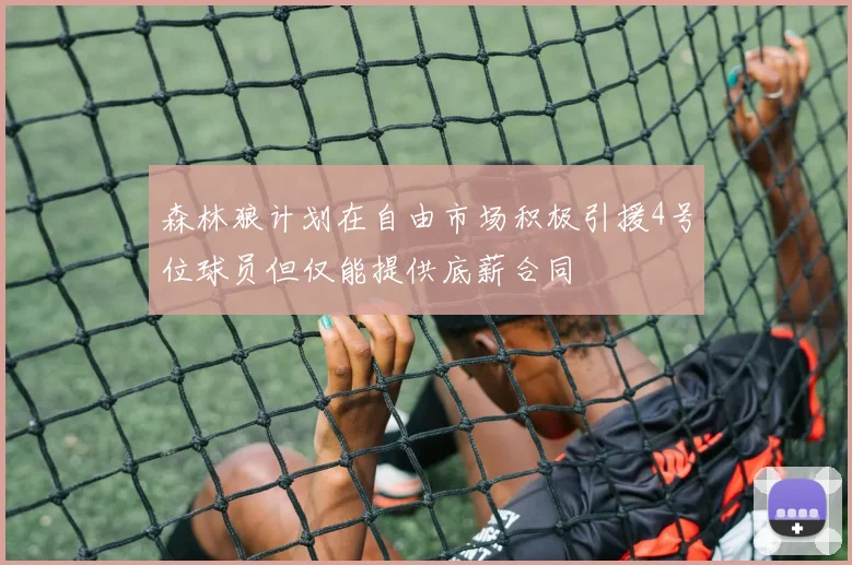 森林狼计划在自由市场积极引援4号位球员但仅能提供底薪合同